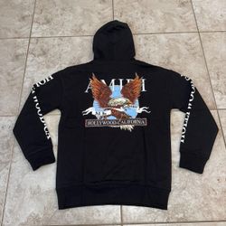 Amiri Hoodie New Season Any Colors 