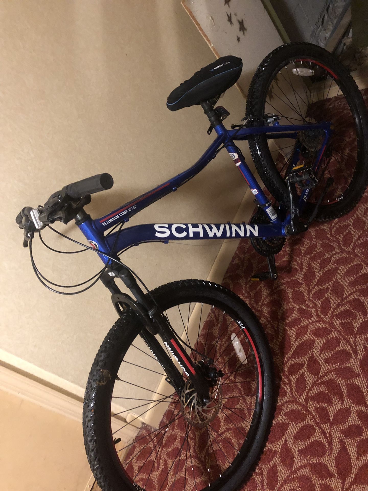 Schwinn mount bike