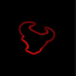 HOUSTON TEXANS HOODIE