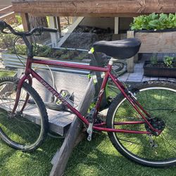 Specialized Hardrock