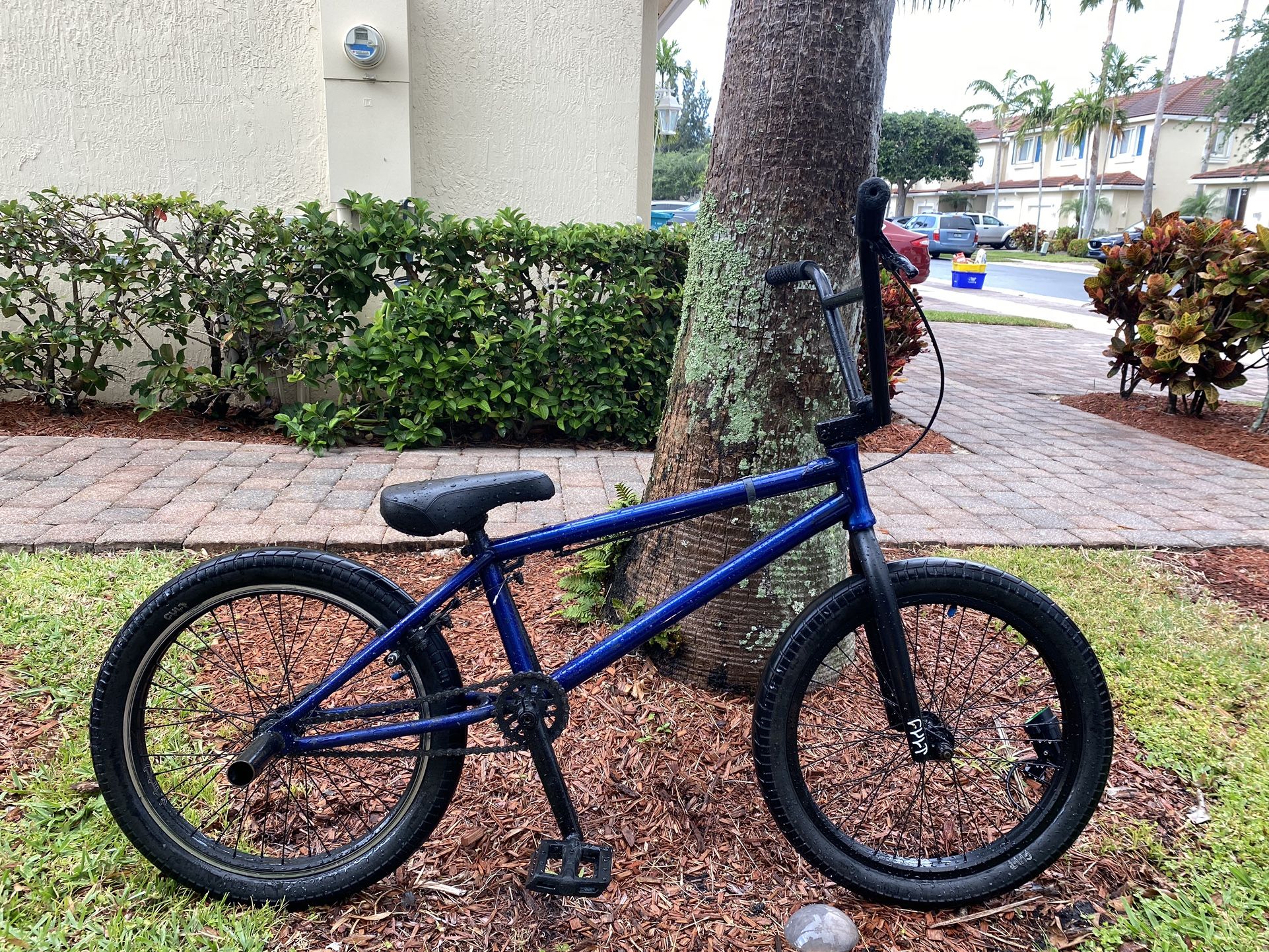 Cult BMX Bike