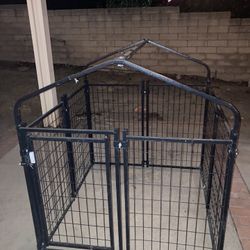 Dog Kennel 