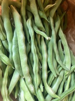 Fresh vegetables from the backyard.