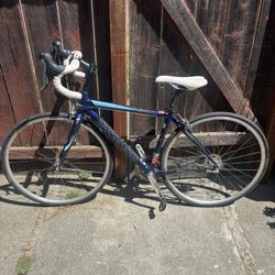 Specialized Ruby Carbon Fiber Road Bike - Woman’s