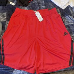 New Adidas Shorts 