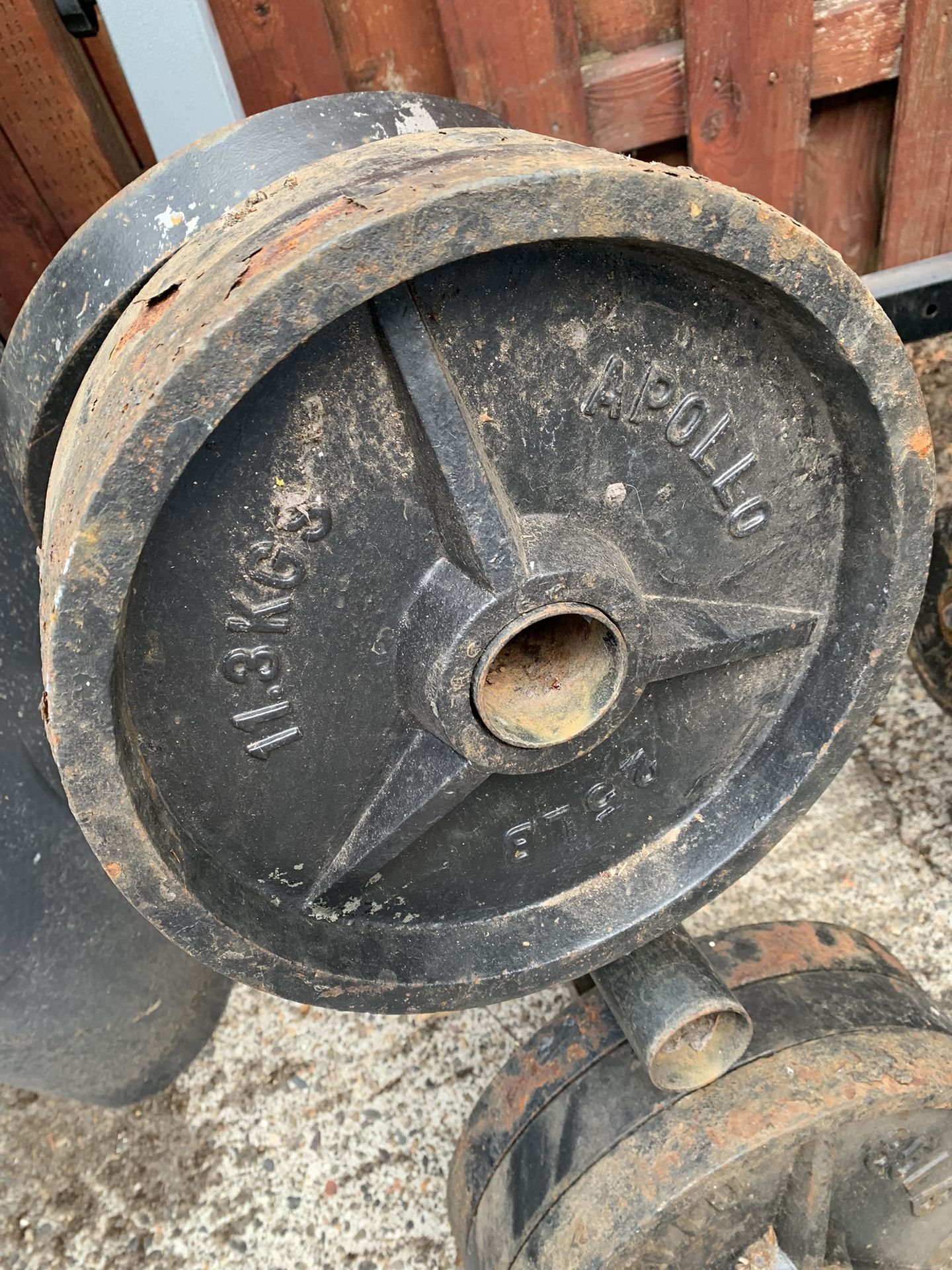 Two 25 Lbs Olympic Weight Plates