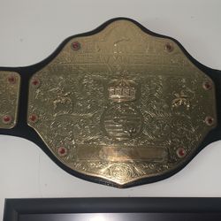 WWE WCW Big Gold World Heavyweight Championship Belt Adult Size