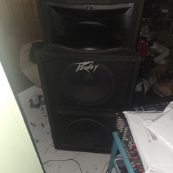 Peavey Speakers Great Shape Heavy Pick Up Only Need A Amp To Run