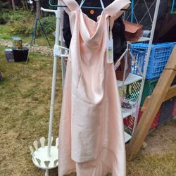 Homecoming/ Prom Dress 