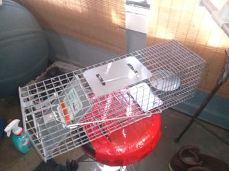 Animal trap