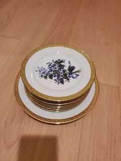 Vintage Royal Gallery Gold Buffet Floral Plate Set