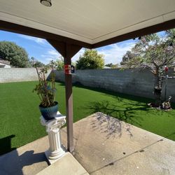 Turf