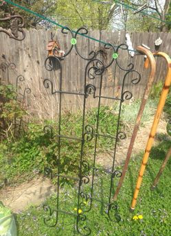 Plate holder