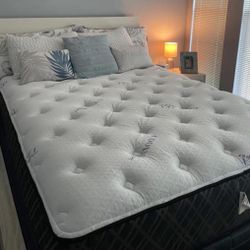 Brand New Mattresses 