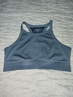 Z Supply Active Women's Blue Ribbed Sports Bra Size XL EUC