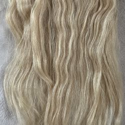 Golden Blonde 12” Human Hair Clip-in Extensions 