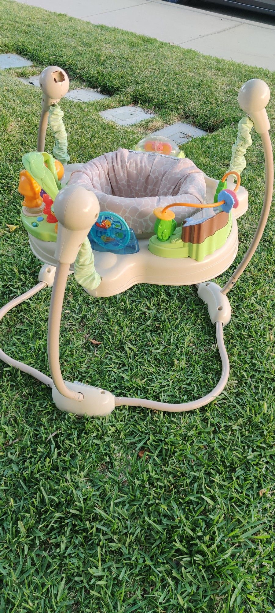 Fisher Price Kid jumper