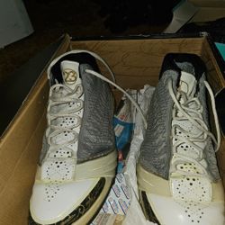 Nike Zoom LeBron lll "White/Gold"