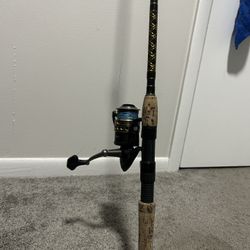 Fishing Rod