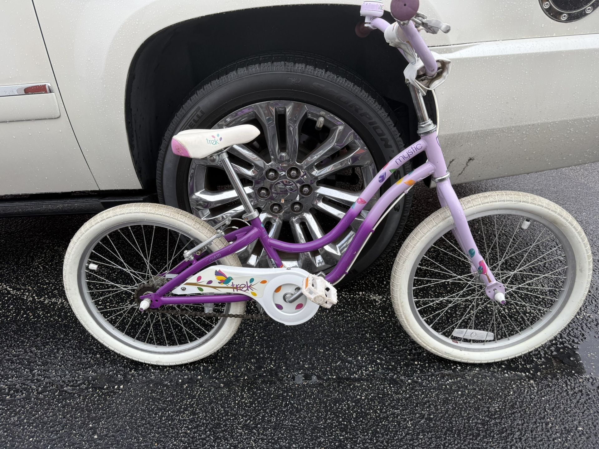 Trek 20 inch wheel kids bike