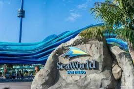 Sea World Tickets