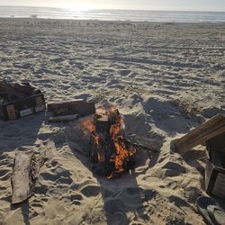 O, The BEST DRY Seasoned 2 years + Firewood, $6 for 14.5 Liter. Bins for $19.95 You can get any amount you want  Pickups Full or partial. We are the s