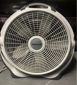 Fan