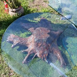 One of a kind. 
Beautiful real wood coffee table.
Timeless beauty. 
Conversational piece