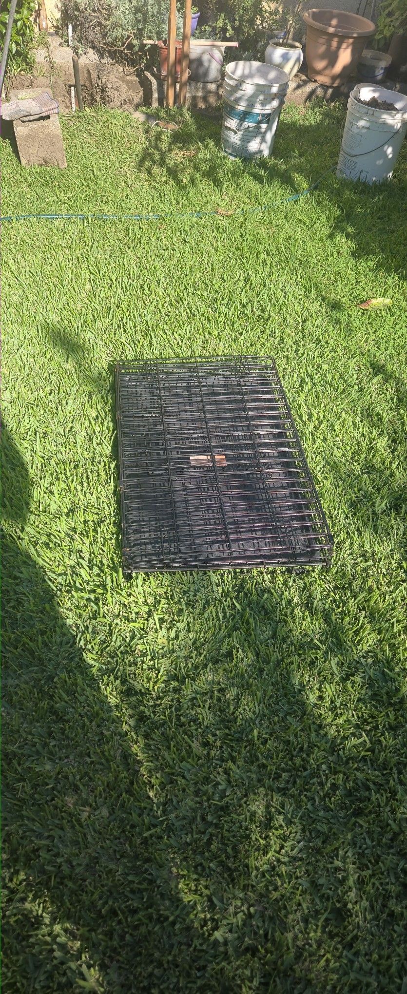 Dog crate (DOG NOT INCLUDED)