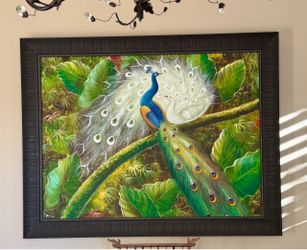 Large Framed Peacock Tropical Wall Art – 55×43 – $145