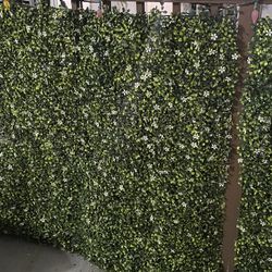 Wall Greenery