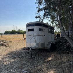 Trailer 2 Horse Good Conditions New Tires