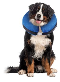 Bencmate Protective Inflatable Soft Pet Recovery Does Not Block Vision Recovery Collar for Dogs & Cats, Blue, Large