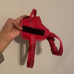 Small Red Dog Harness 