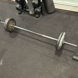 Curl Bar - Weights Included 