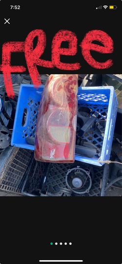 Chevy Truck  Driver Side Tail Lights 