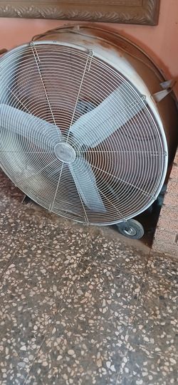 Big fan
