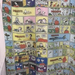 Women’s Snoopy Peanuts Size Large 