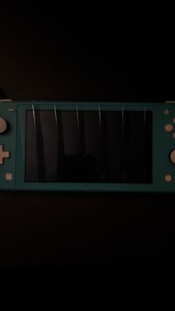 Nintendo Switch Lite