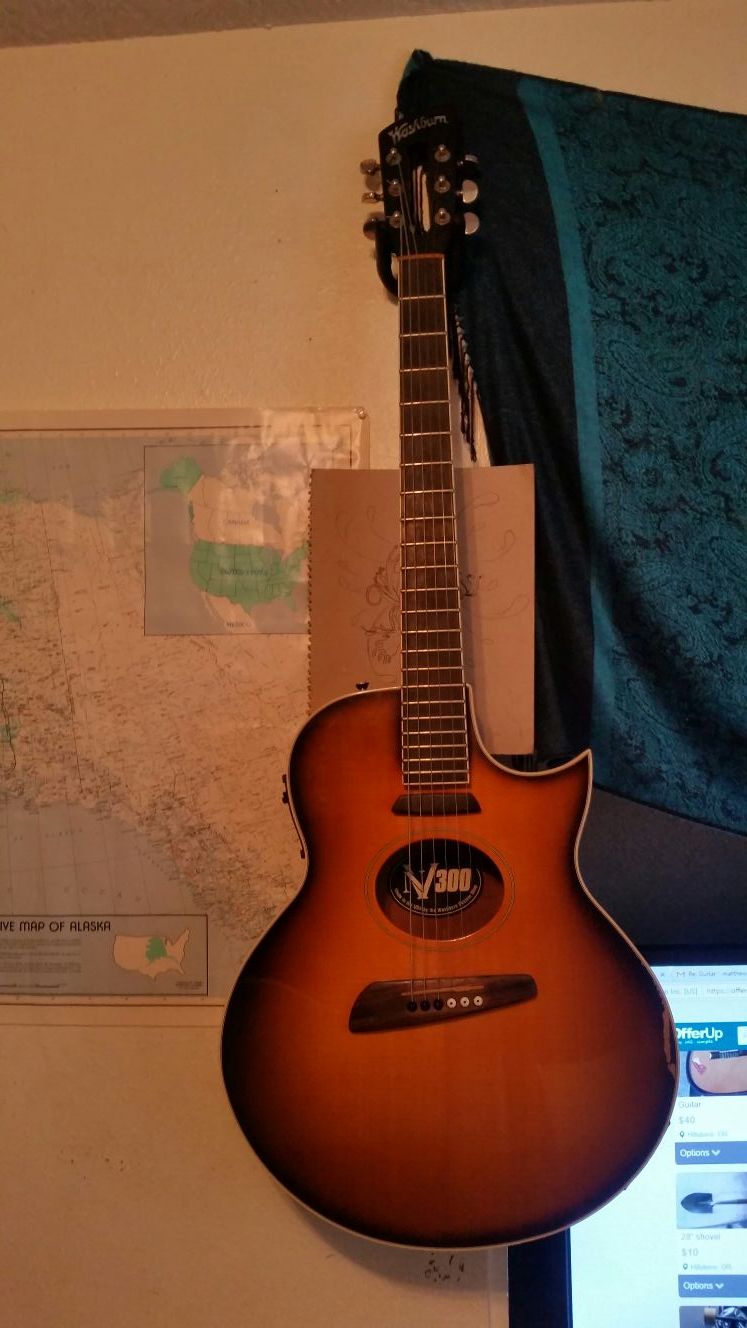 Washburn NV300