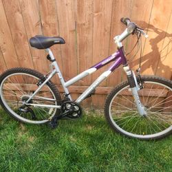 Mountain Bike  