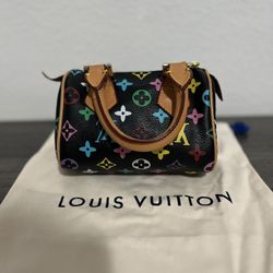 Mini Louis Vuitton Purse 