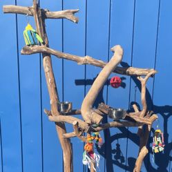 Dual Level Macaw Perch— Fun And Games For The Special Gnarly Macaw !!
