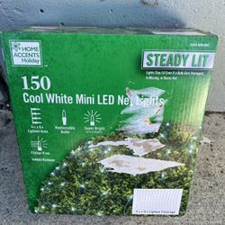 New Christmas Holidays Lights 150 Cool White Mini Led Net Lighs 