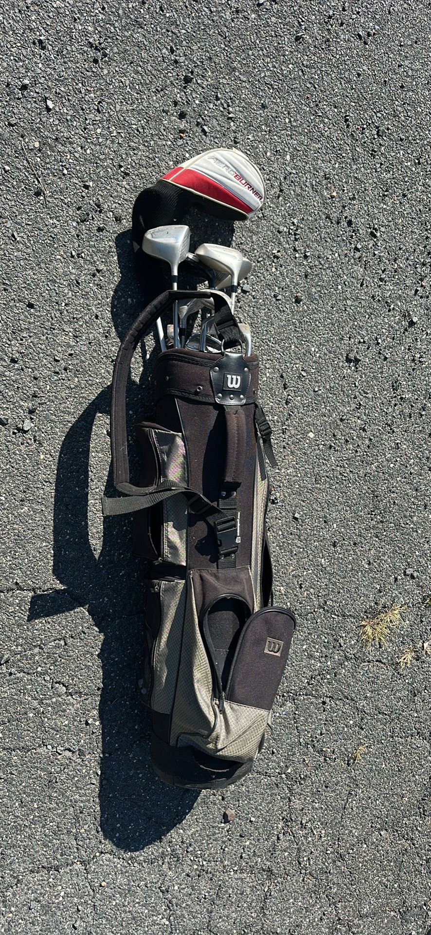 Golf bag and clubs