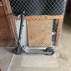 Ninebot Scooter