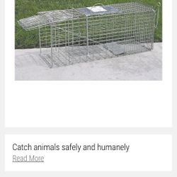 Medium Sized Animal Racoon Stray Cat Live Trap