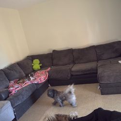 Free Couches/pick Up Only