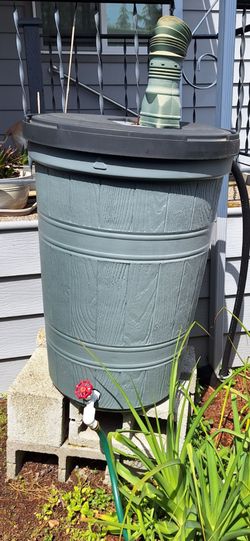 Two 50 gallon rain barrel