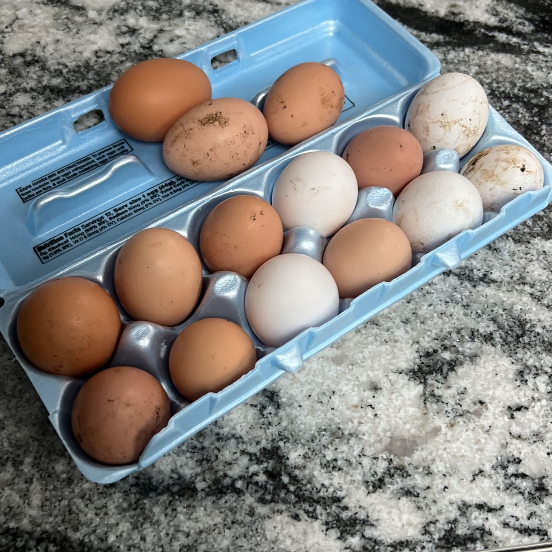 Free Range Eggs Organic